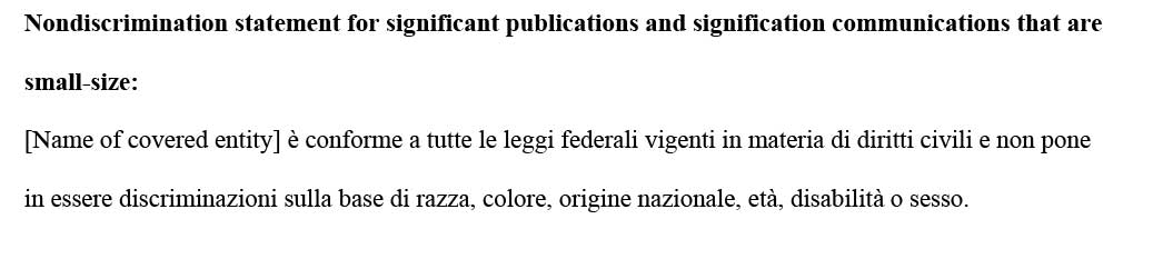 sample ce statement italian