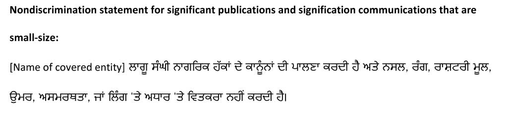 sample ce statement punjabi