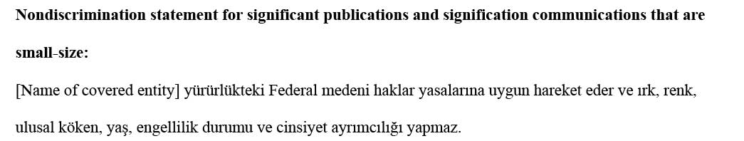 sample ce statement turkish